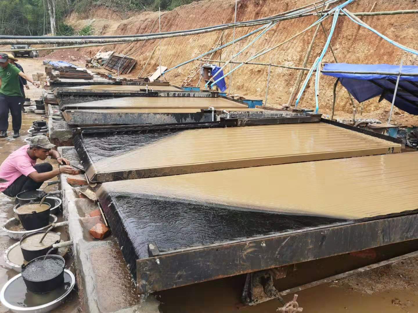 �g�F�V����F�V���x